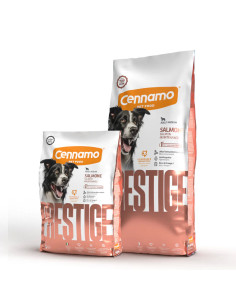 PRESTIGE Dog Adult Maintenance Medium Salmone