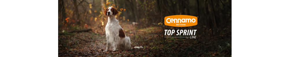 TOP SPRINT - High premium/ superpremium