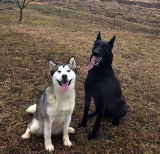 Luna i Tayphoon